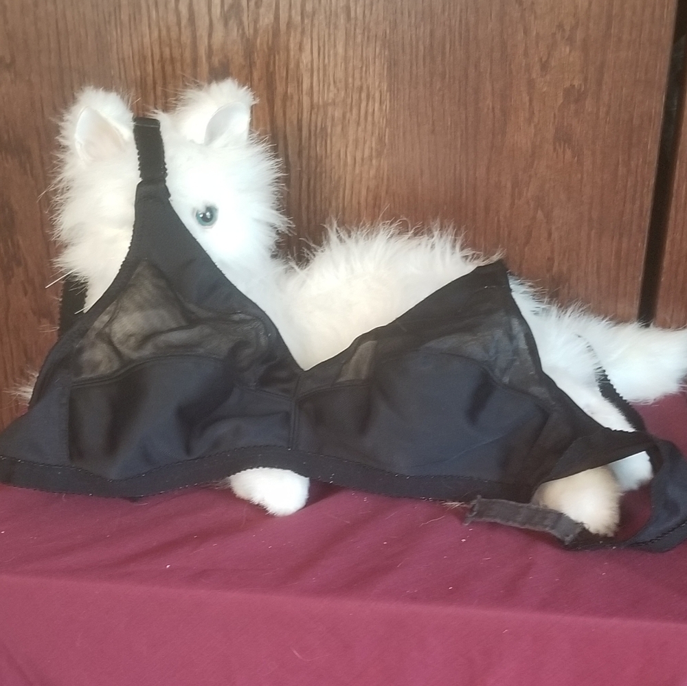 Gelmart black bra